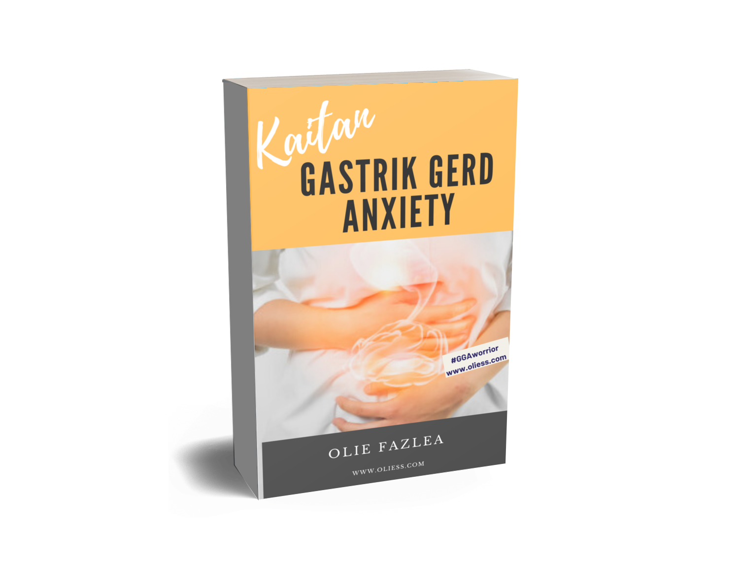 Ebook Gastrik Gerd Anxiety